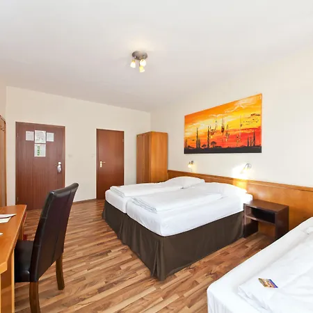 Palm Premium 3*