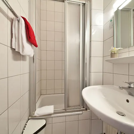 Palm Premium 3*