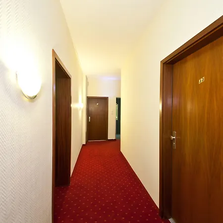 Palm Premium Düsseldorf