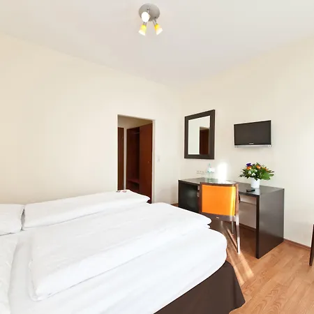 Palm Premium & Dusseldorf